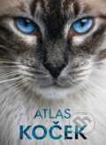 Kniha: Atlas koček (Bookmedia). Bookmedia, 2026 Kniha: Atlas koček (Bookmedia). Bookmedia, 2026