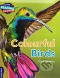 Kniha: CAMBR READ ADV PURPLE (Alison Sage, Tom Bradman, Scoular Anderson, Peter Millett, Jon Hughes, Ian Whybrow a Anita Ganeri). , 2018 Kniha: CAMBR READ ADV PURPLE (Alison Sage, Tom Bradman, Scoular Anderson, Peter Millett, Jon Hughes, Ian Whybrow a Anita Ganeri). , 2018