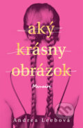 Kniha: Aký krásny obrázok (Andrea Leeb), 2026 Kniha: Aký krásny obrázok (Andrea Leeb), 2026