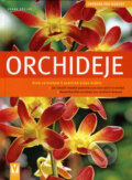Kniha: Orchideje (Frank Röllke). Vašut, 2007 Kniha: Orchideje (Frank Röllke). Vašut, 2007