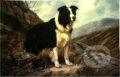 Puzzle: Border Collie On Hillside (Crown & Andrews). Crown & Andrews Puzzle: Border Collie On Hillside (Crown & Andrews). Crown & Andrews