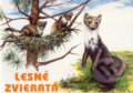 Kniha: Lesné zvieratá (Alena Drusková a Ján Benčík). Tranoscius, 2001 Kniha: Lesné zvieratá (Alena Drusková a Ján Benčík). Tranoscius, 2001