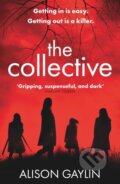 Kniha: The Collective (Alison Gaylin). Orion, 2022 Kniha: The Collective (Alison Gaylin). Orion, 2022
