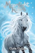 Kniha: Moonlight Riders: Storm Stallion (Linda Chapman). Hachette Childrens Group, 2022 Kniha: Moonlight Riders: Storm Stallion (Linda Chapman). Hachette Childrens Group, 2022