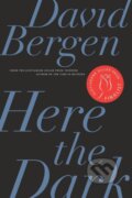 Kniha: Here the Dark (David Bergen). Biblioasis, 2020 Kniha: Here the Dark (David Bergen). Biblioasis, 2020