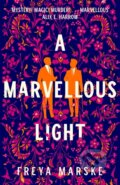 Kniha: A Marvellous Light, 2021 Kniha: A Marvellous Light, 2021
