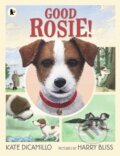 Kniha: Good Rosie! (Kate DiCamillo). Walker books, 2019 Kniha: Good Rosie! (Kate DiCamillo). Walker books, 2019