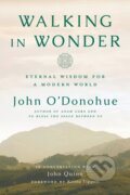 Kniha: Walking in Wonder (John a Ph.D. O'Donohue). Convergent Books, 2018 Kniha: Walking in Wonder (John a Ph.D. O'Donohue). Convergent Books, 2018