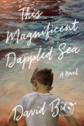 Kniha: This Magnificent Dappled Sea (David Biro). Lake Union Publishing, 2020 Kniha: This Magnificent Dappled Sea (David Biro). Lake Union Publishing, 2020