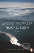 Kniha: Wade in the Water, 2018 Kniha: Wade in the Water, 2018