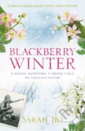 Kniha: Blackberry Winter (Sarah Jio). Orion, 2019 Kniha: Blackberry Winter (Sarah Jio). Orion, 2019