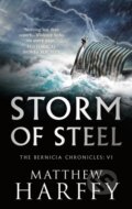 Kniha: Storm of Steel, 2019 Kniha: Storm of Steel, 2019