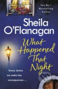 Kniha: What Happened That Night (Sheila O'flanagan). Headline Book, 2018 Kniha: What Happened That Night (Sheila O'flanagan). Headline Book, 2018