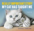 Kniha: Really Important Stuff My Cat Has Taught Me (Cynthia L. Copeland). Workman Publishing, 2017 Kniha: Really Important Stuff My Cat Has Taught Me (Cynthia L. Copeland). Workman Publishing, 2017
