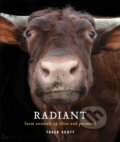 Kniha: Radiant (Scott Traer). Princeton Architectural Press, 2018 Kniha: Radiant (Scott Traer). Princeton Architectural Press, 2018