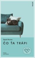 Kniha: Čo ťa trápi (Sigrid Nunez). Inaque, 2026 Kniha: Čo ťa trápi (Sigrid Nunez). Inaque, 2026