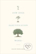 Kniha: How Does Sanctification Work? (Powlison David). Crossway Books, 2017 Kniha: How Does Sanctification Work? (Powlison David). Crossway Books, 2017