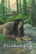 Kniha: Frankenstein (Mary Shelley). , 2017 Kniha: Frankenstein (Mary Shelley). , 2017