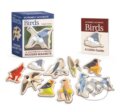 Kniha: Extremely Accurate Birds Wooden Magnet Set (Tommy Siegel). Running, 2026 Kniha: Extremely Accurate Birds Wooden Magnet Set (Tommy Siegel). Running, 2026