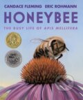 Kniha: Honeybee (Candace Fleming). , 1900 Kniha: Honeybee (Candace Fleming). , 1900