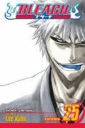 Kniha: Bleach 25 (Tite Kubo). , 2008 Kniha: Bleach 25 (Tite Kubo). , 2008