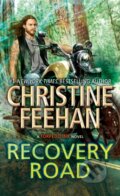 Kniha: Recovery Road, 2023 Kniha: Recovery Road, 2023