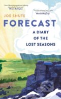 Kniha: Forecast, 2021 Kniha: Forecast, 2021