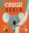 Kniha: Cesur Koala (Rachel Bright a Selin Sayar Tekkus). , 2021 Kniha: Cesur Koala (Rachel Bright a Selin Sayar Tekkus). , 2021