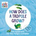 Kniha: How Does a Tadpole Grow? (Eric Carle). , 2022 Kniha: How Does a Tadpole Grow? (Eric Carle). , 2022