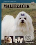 Kniha: Maltézáček (Juliette Cunliffeová). Fortuna Libri ČR, 2007 Kniha: Maltézáček (Juliette Cunliffeová). Fortuna Libri ČR, 2007