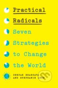 Kniha: Practical Radicals (Deepak Bhargava a Stephanie Luce). The New Press, 2025 Kniha: Practical Radicals (Deepak Bhargava a Stephanie Luce). The New Press, 2025