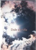 Kniha: Duše a křídla (Miroslav Zámečník). Euroservice, 2009 Kniha: Duše a křídla (Miroslav Zámečník). Euroservice, 2009