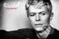 Kniha: Ricochet: David Bowie 1983 (Denis O'Regan). Particular Books, 2018 Kniha: Ricochet: David Bowie 1983 (Denis O'Regan). Particular Books, 2018