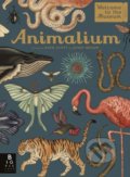 Kniha: Animalium (Jenny Broom). Templar, 2017 Kniha: Animalium (Jenny Broom). Templar, 2017