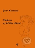 Kniha: Sbohem, vy hříčky větrné (Jean Cocteau). Vyšehrad, 2007 Kniha: Sbohem, vy hříčky větrné (Jean Cocteau). Vyšehrad, 2007