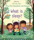 Kniha: What is Sleep? (Katie Daynes). Usborne, 2018 Kniha: What is Sleep? (Katie Daynes). Usborne, 2018