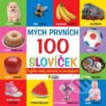 Kniha: Mých prvních 100 slovíček (SUN). SUN, 2015 Kniha: Mých prvních 100 slovíček (SUN). SUN, 2015