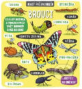 Kniha: Malý průzkumník - Brouci (Svojtka&Co.). Svojtka&Co., 2018 Kniha: Malý průzkumník - Brouci (Svojtka&Co.). Svojtka&Co., 2018
