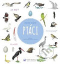 Kniha: Ptáci (Judith Gueyfier, Julien Norwood a Nathalie Tordjmanová). Svojtka&Co., 2018 Kniha: Ptáci (Judith Gueyfier, Julien Norwood a Nathalie Tordjmanová). Svojtka&Co., 2018