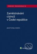 Zaměstnávání cizinců v České republice - Jakub Tomšej, 2019