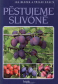 Kniha: Pěstujeme slivoně (Jan Blažek a Václav Kneifl). Brázda, 2005 Kniha: Pěstujeme slivoně (Jan Blažek a Václav Kneifl). Brázda, 2005
