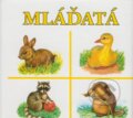 Kniha: Mláďatá (Delfín). Delfín Kniha: Mláďatá (Delfín). Delfín