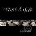 Hudební CD: Terne Čhave: Avjam Pale (Indies MG). Indies MG, 2003 Hudební CD: Terne Čhave: Avjam Pale (Indies MG). Indies MG, 2003