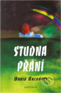 Kniha: Studna přání (David Baldacci). Kniha: Studna přání (David Baldacci).