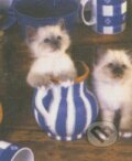 Puzzle: Kitty Cream (Leanne Giblett). Crown & Andrews Puzzle: Kitty Cream (Leanne Giblett). Crown & Andrews
