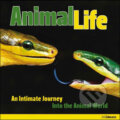 Kniha: Animal Life (Hans-Jurgen Koch a Heidy Koch). Ullmann, 2008 Kniha: Animal Life (Hans-Jurgen Koch a Heidy Koch). Ullmann, 2008