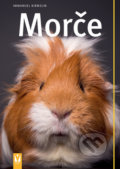 Kniha: Morče (Immanuel Birmelin). Vašut, 2018 Kniha: Morče (Immanuel Birmelin). Vašut, 2018
