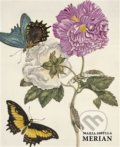 Kniha: Maria Sibylla Merian (Daniel Kiecol). Könemann, 2019 Kniha: Maria Sibylla Merian (Daniel Kiecol). Könemann, 2019