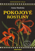 Kniha: Pokojové rostliny (Anna Skalická). Aventinum, 2008 Kniha: Pokojové rostliny (Anna Skalická). Aventinum, 2008