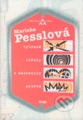 Kniha: Vybrané okruhy z mechaniky pohrom (Marisha Pessl). Argo, 2008 Kniha: Vybrané okruhy z mechaniky pohrom (Marisha Pessl). Argo, 2008